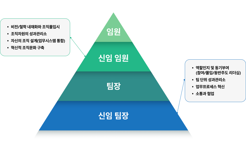 리더십 성장 단계 피라미드 인포그래픽: 신임 팀장, 팀장, 신임 임원, 임원으로 이어지는 조직 리더의 역할 발전 구조와 성과관리, 조직문화 혁신, 업무 프로세스 개선, 소통과 협업 역량 강화를 설명하는 리더십 체계도