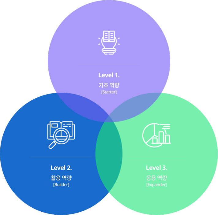 레벨1. 기초역량, 레벨2. 활용역량, 레벨3. 응용역량